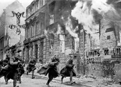 Burning Cross : Limits of Life